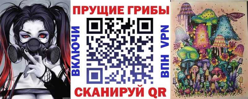 дарнет шоп  hydra вход  Псилоцибиновые грибы прущие грибы  Казань 